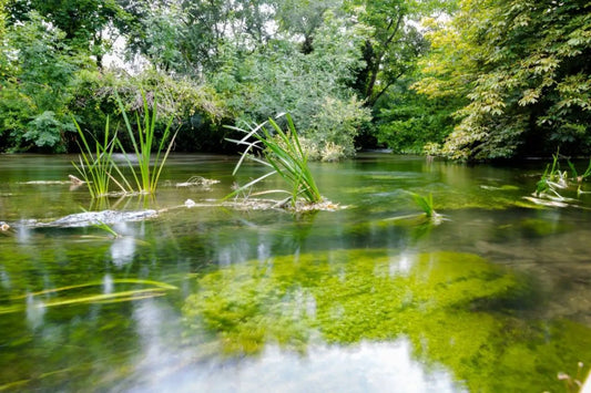 Watercourses - various distinctiveness