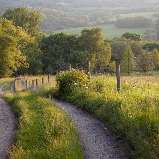 Hedgerow linear units - various distinctiveness
