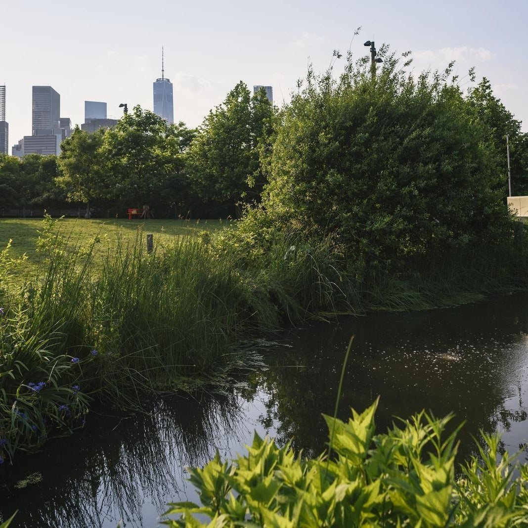 Urban - medium distinctiveness