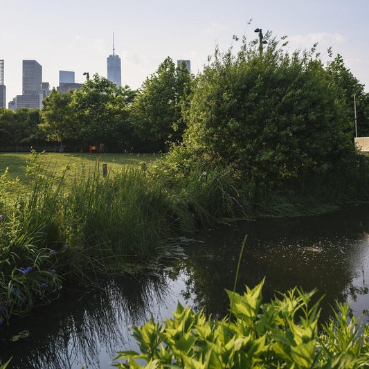 Urban - medium distinctiveness